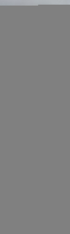 کرم ضدلک و سفید کننده فیر اند لاولی عربی 100 گرم اصل و درجه یک ارجینال خرید و قیمت