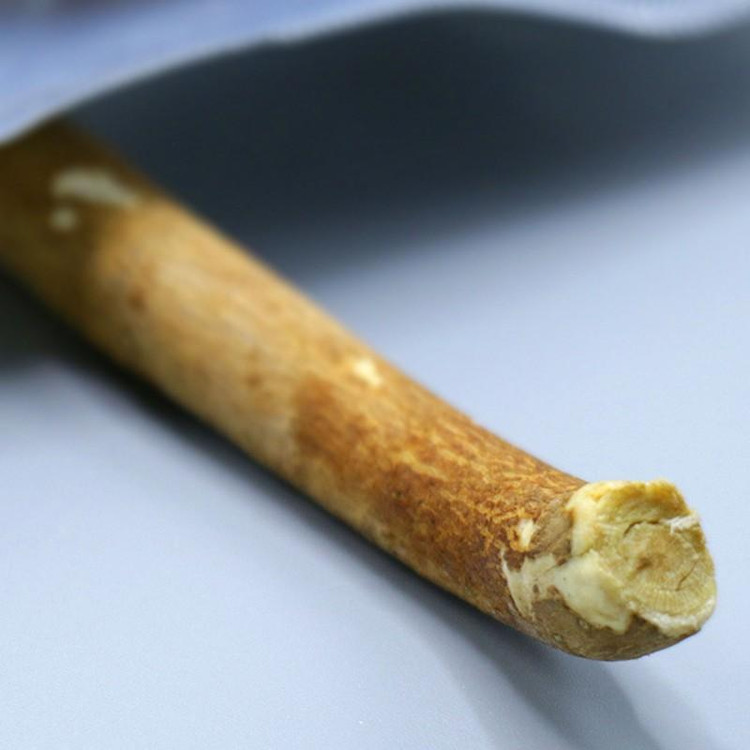 خرید و قیمت مسواک چوبی الفلاح اصل و درجه یک (مسواک سنتی) عالیترین برای سلامت دهان و دندان