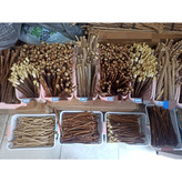 قیمت و خرید سه عددی مسواک چوبی ( چوب مخصوص مسواک دندان_ مسواک سنتی یا چوبی) چوب زیتون، گونجد، اصلی و درجه یک